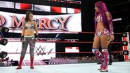 WWE has hinted at a women's tag team division.